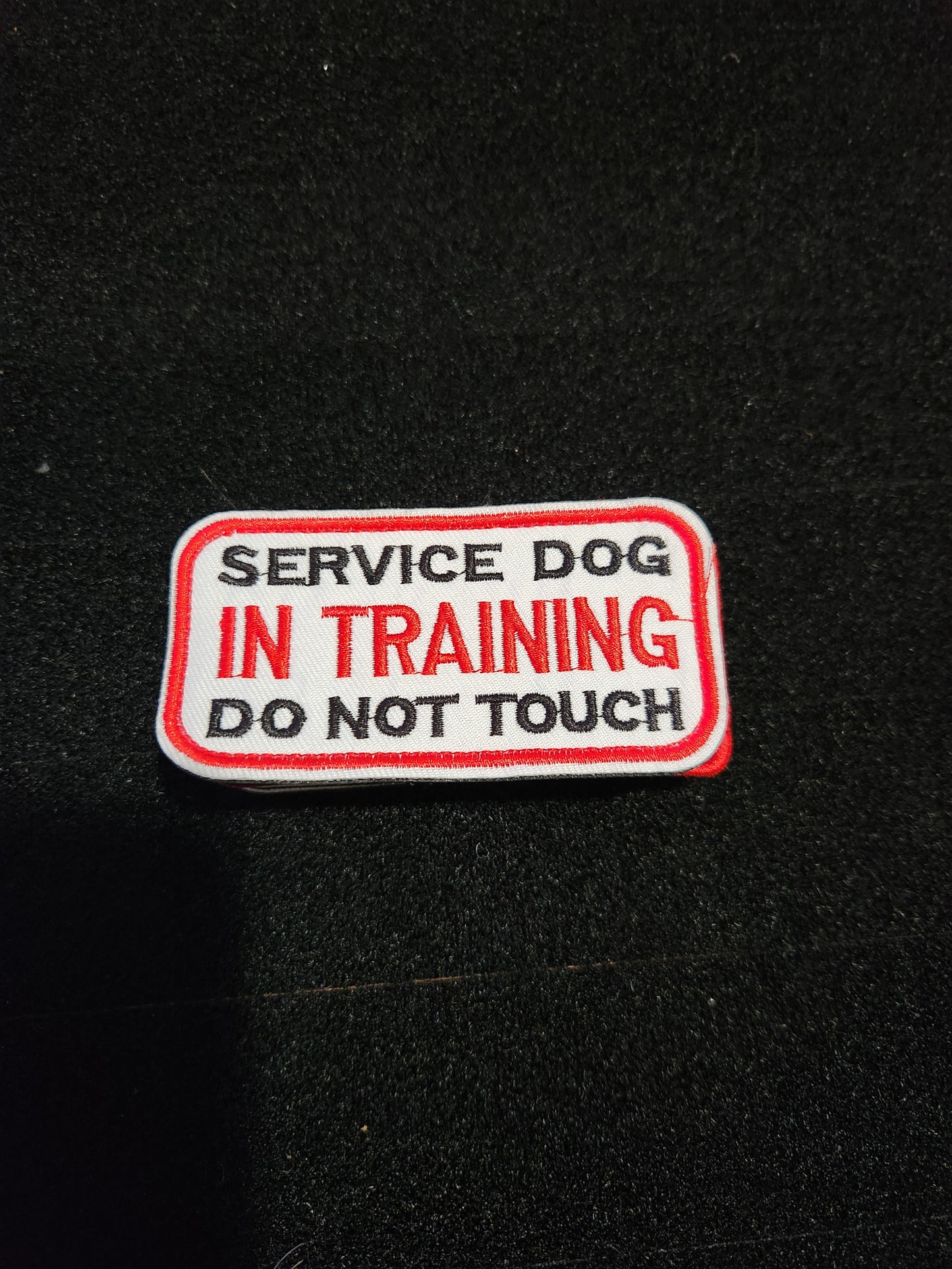 Service dog in training