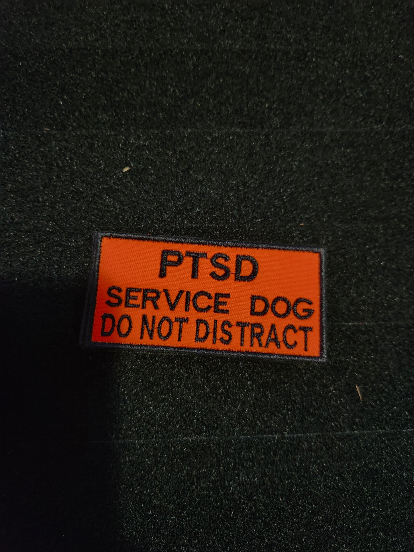 Ptsd service dog