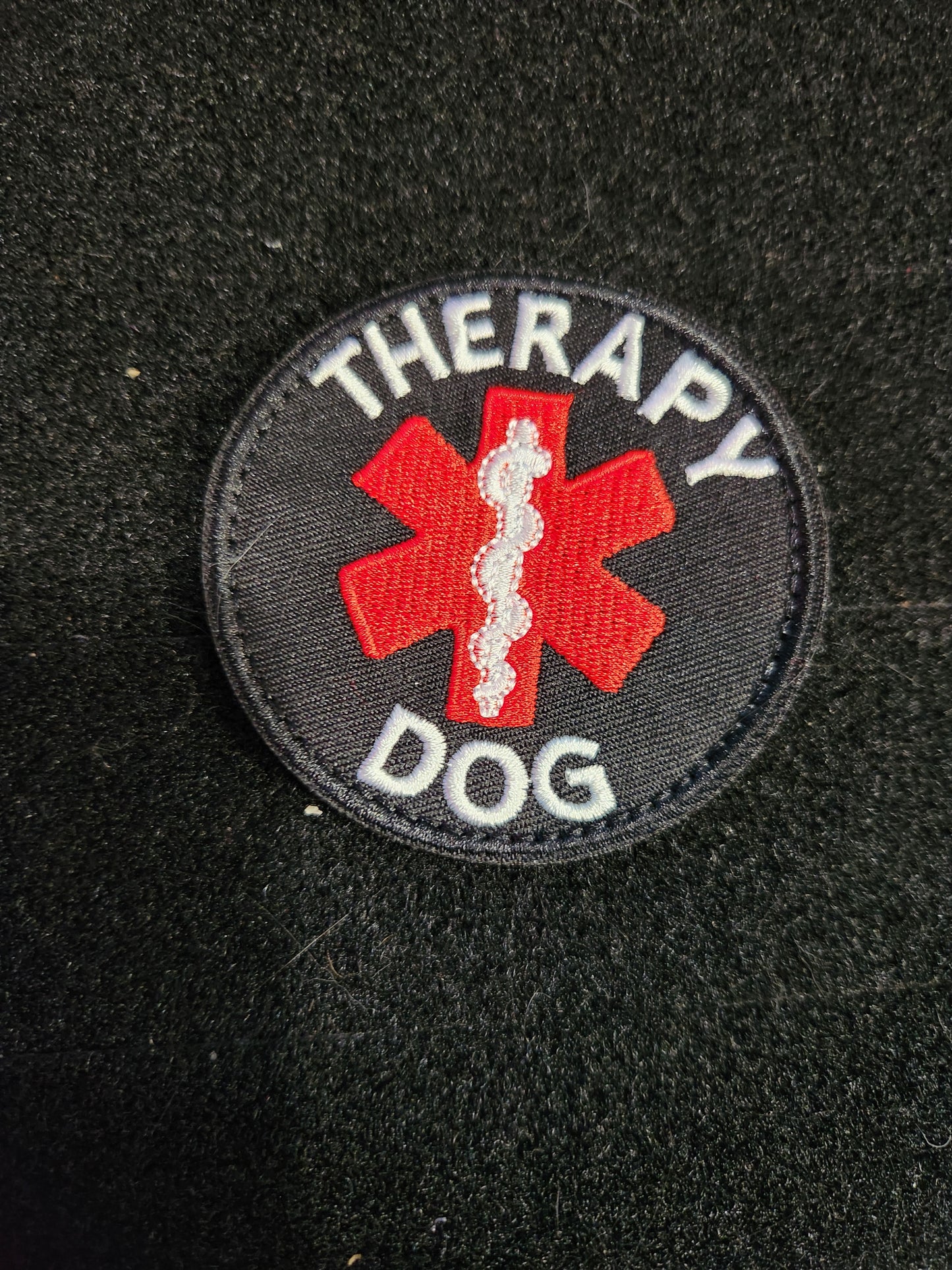 Therapy dog circle