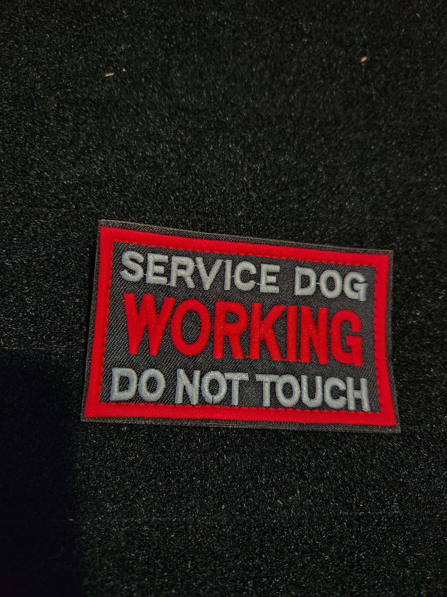 Service dog working