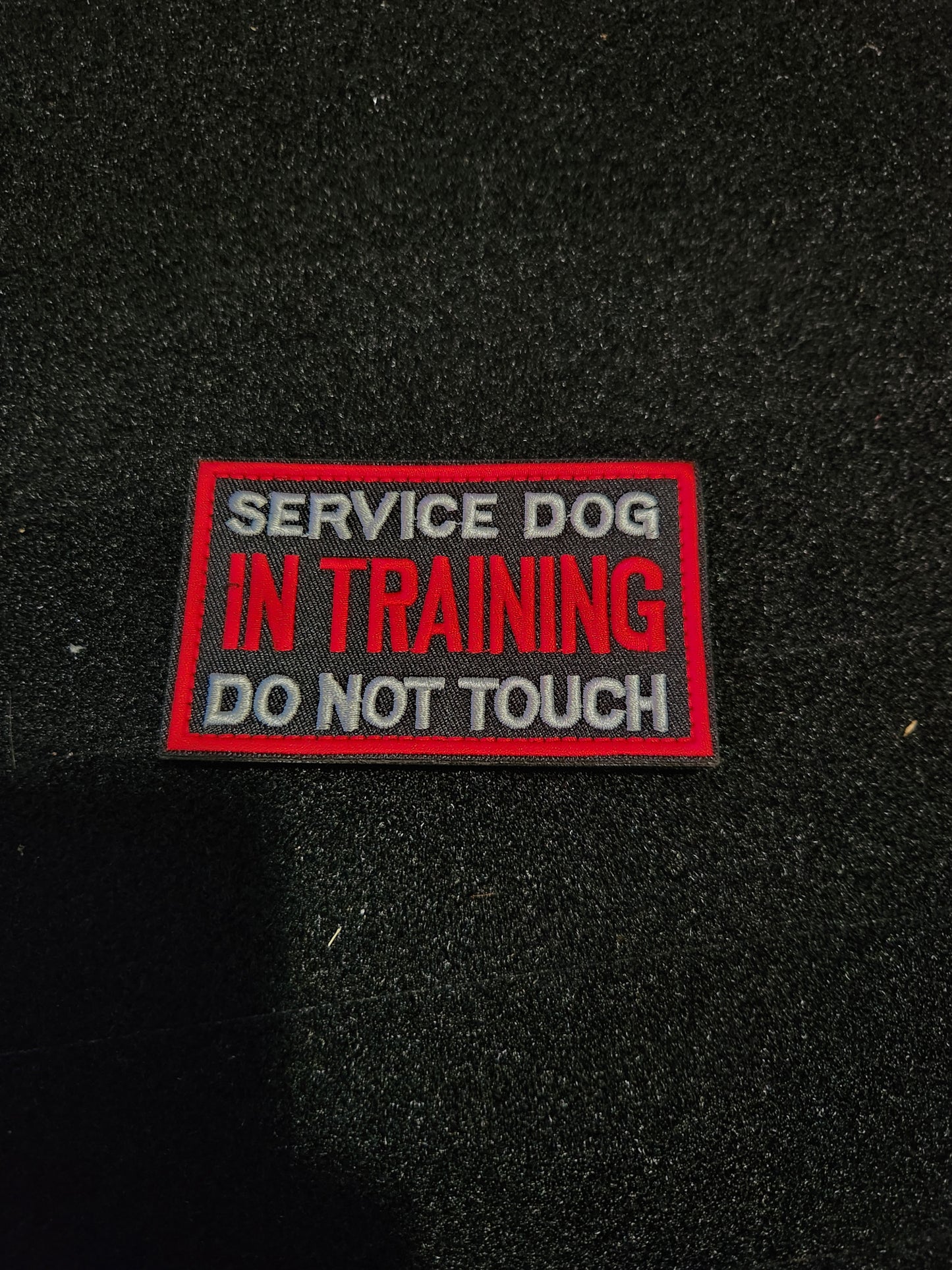 Service dog in training