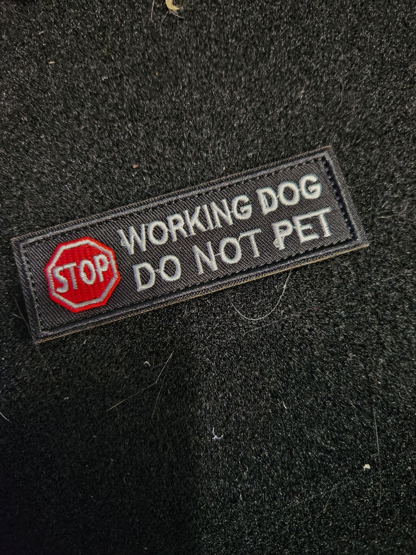 Stop working dog