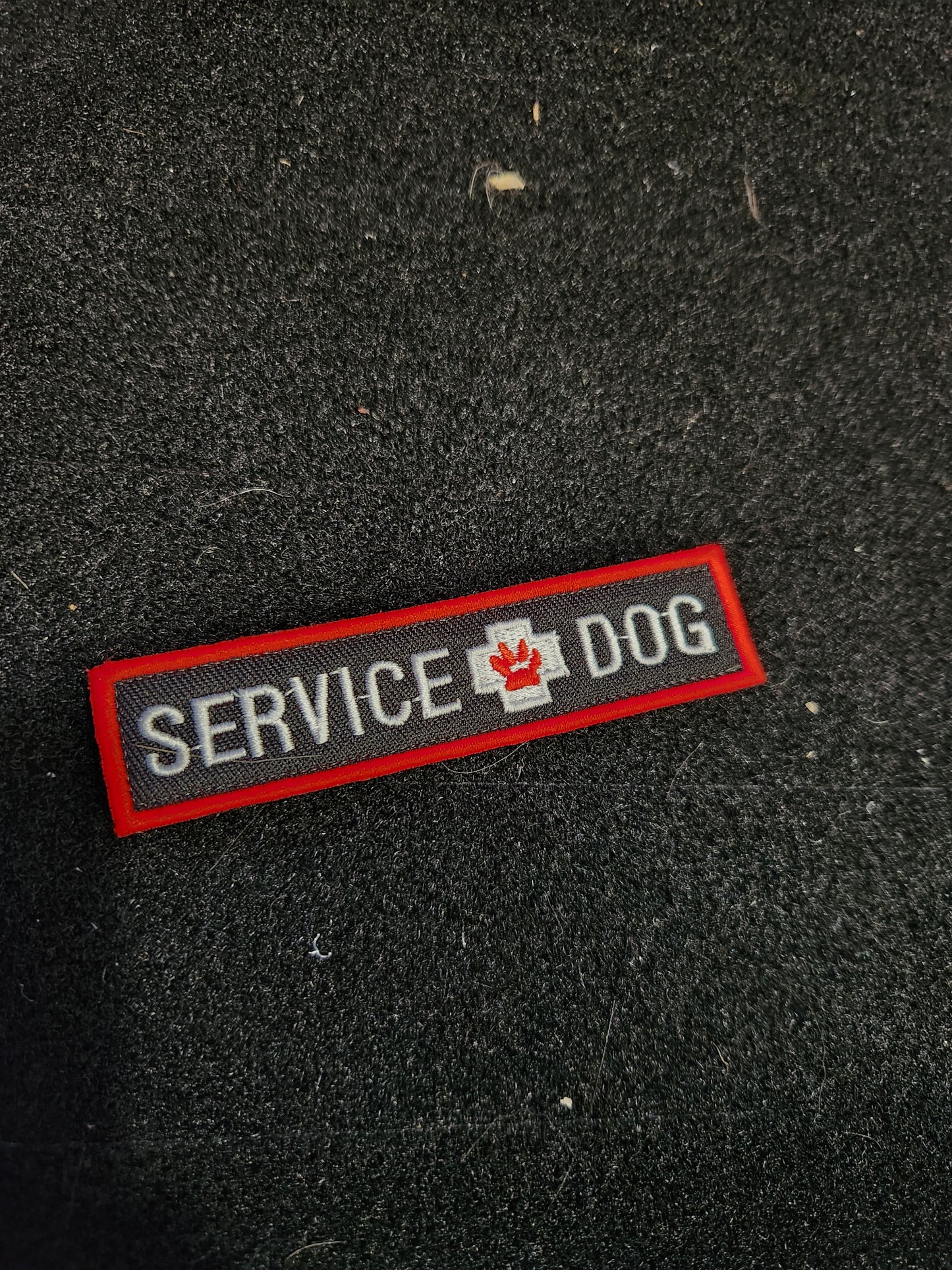 Service dog
