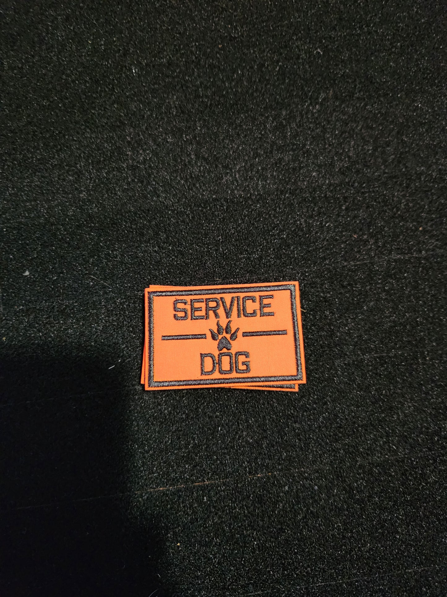 Service dog