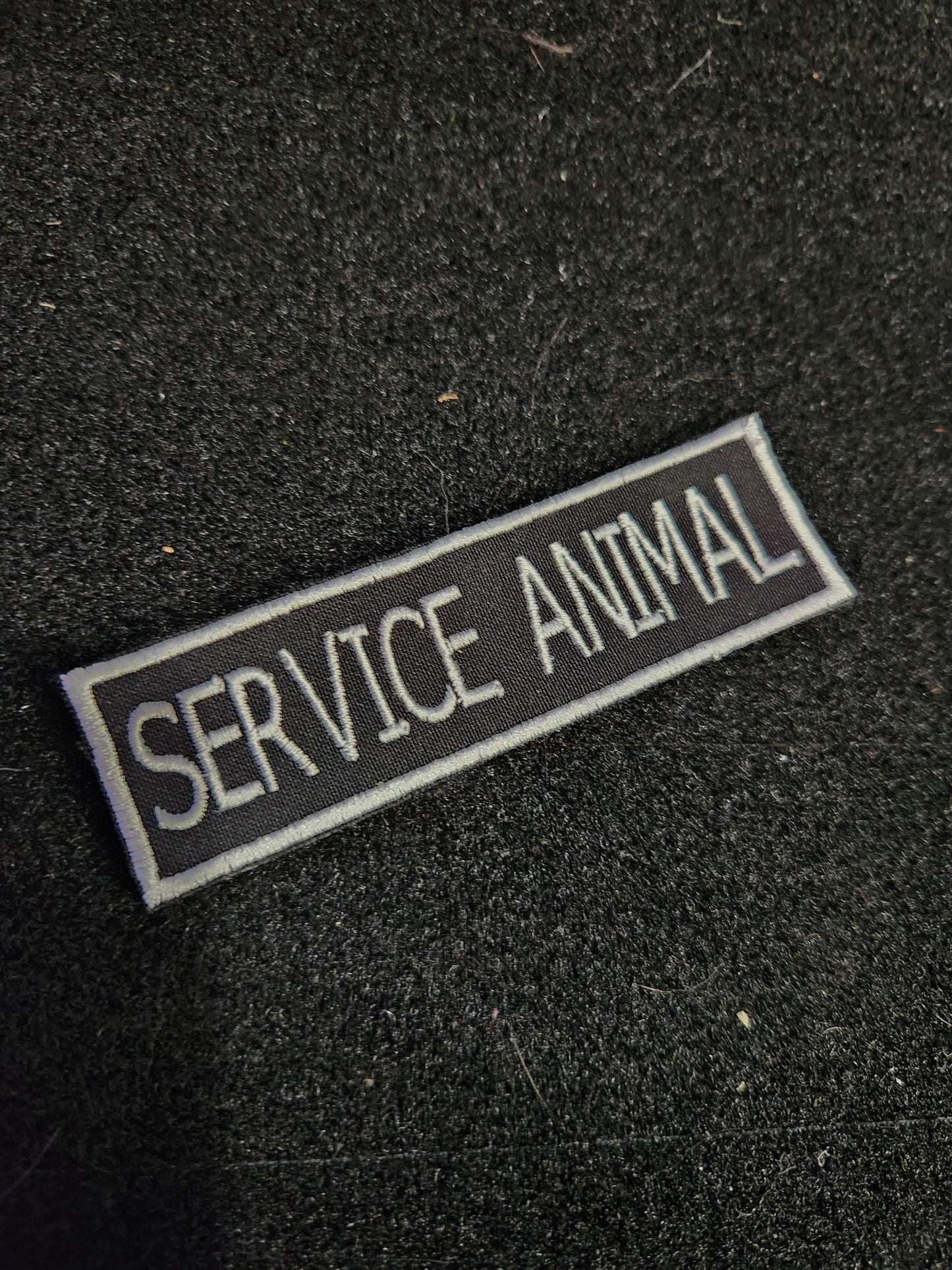 Service animal