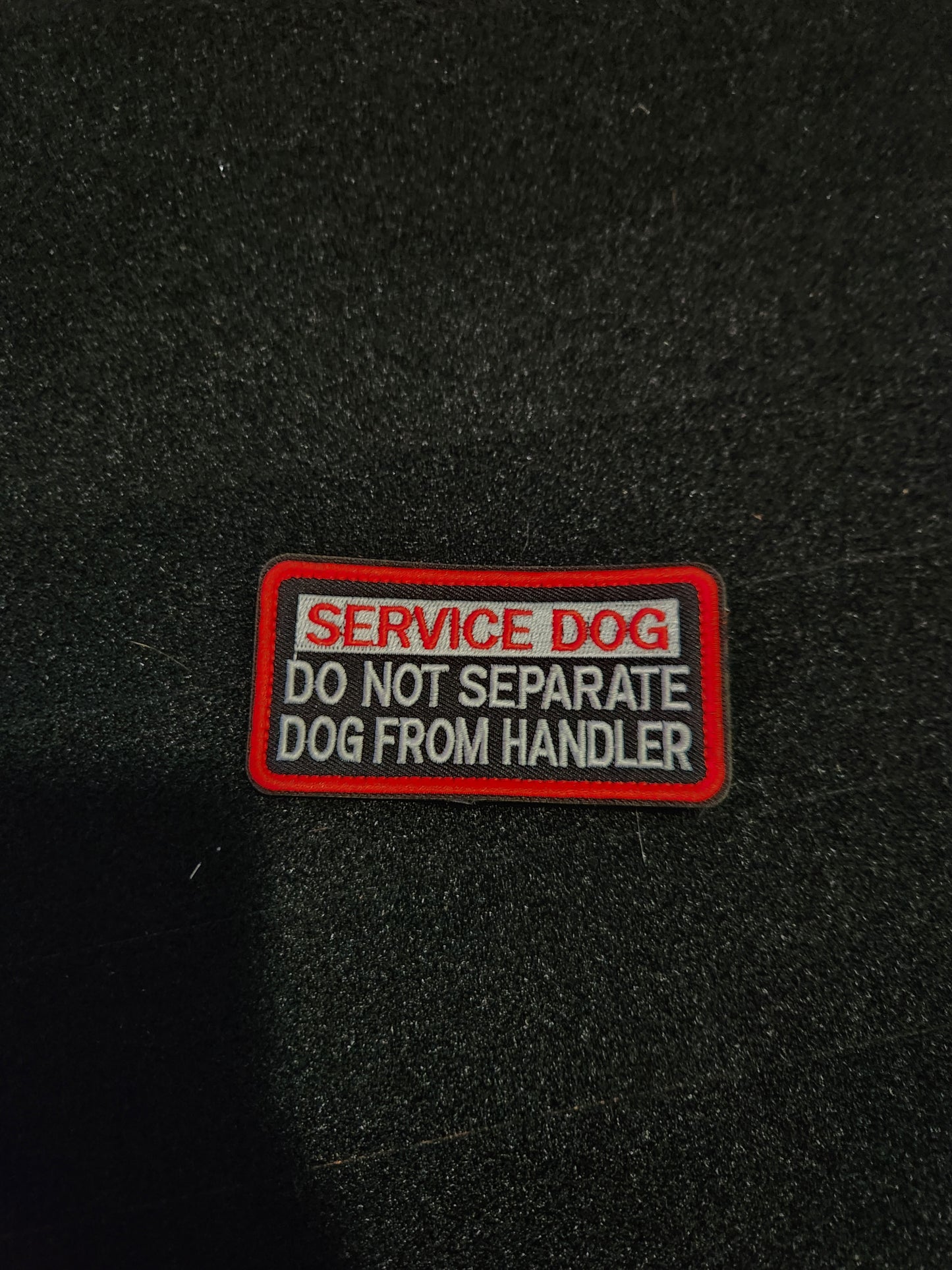 Service dog do not seperate