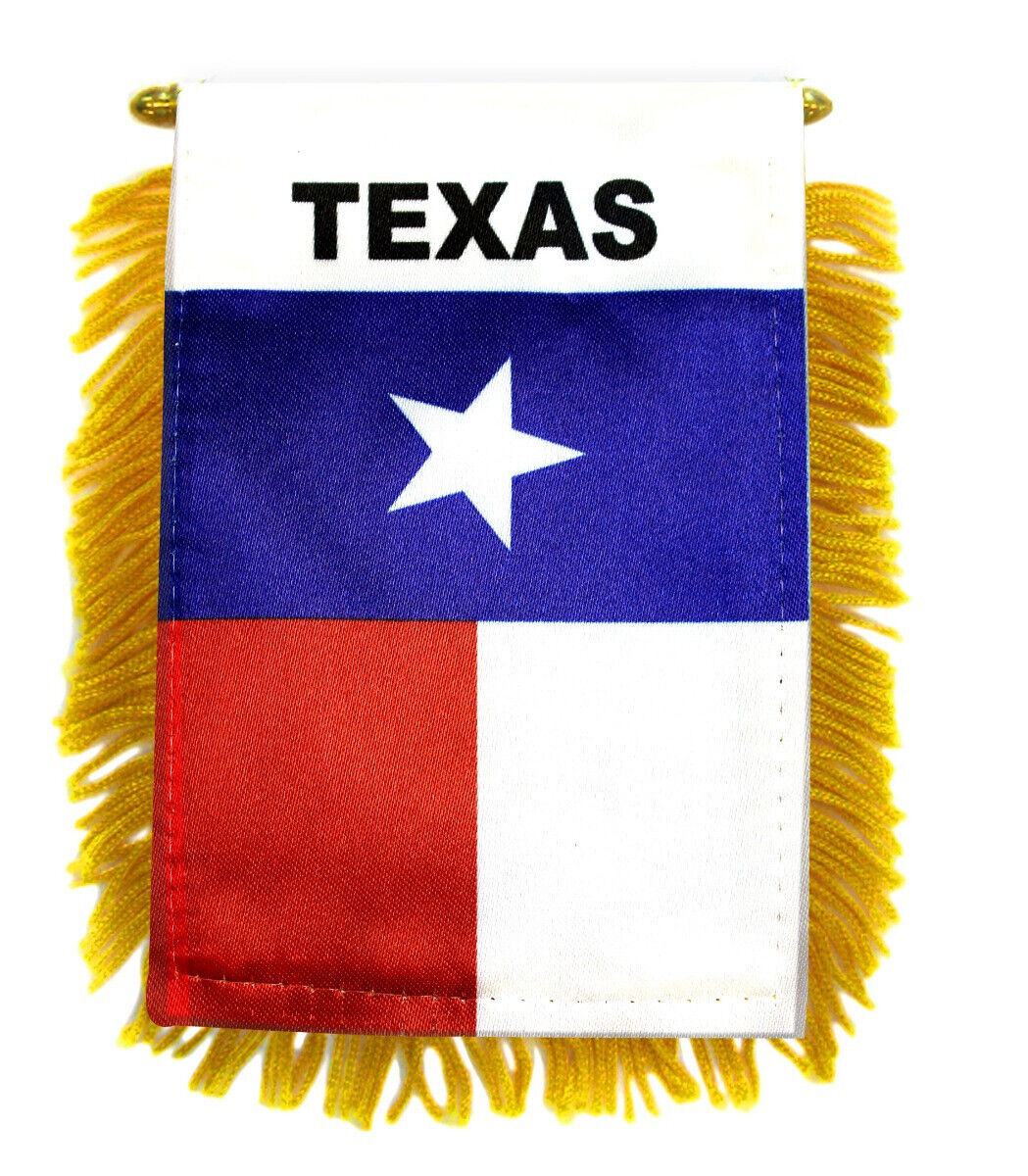 Texas Mini Banner
