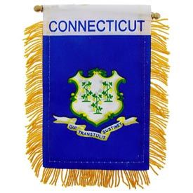 Connecticut Mini Banner