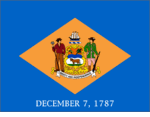 Delaware 3x5 Flage