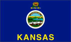 Kansas 3x5 Flag