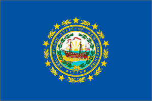 New Hampshire 3x5 Flag