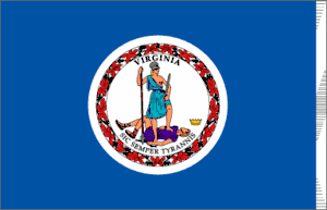 Virginia 3x5 Flag