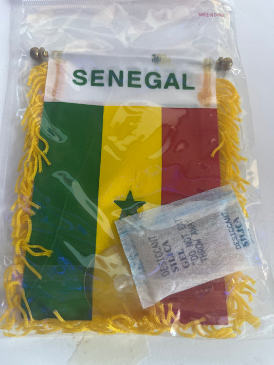 Senegal Mini Banner