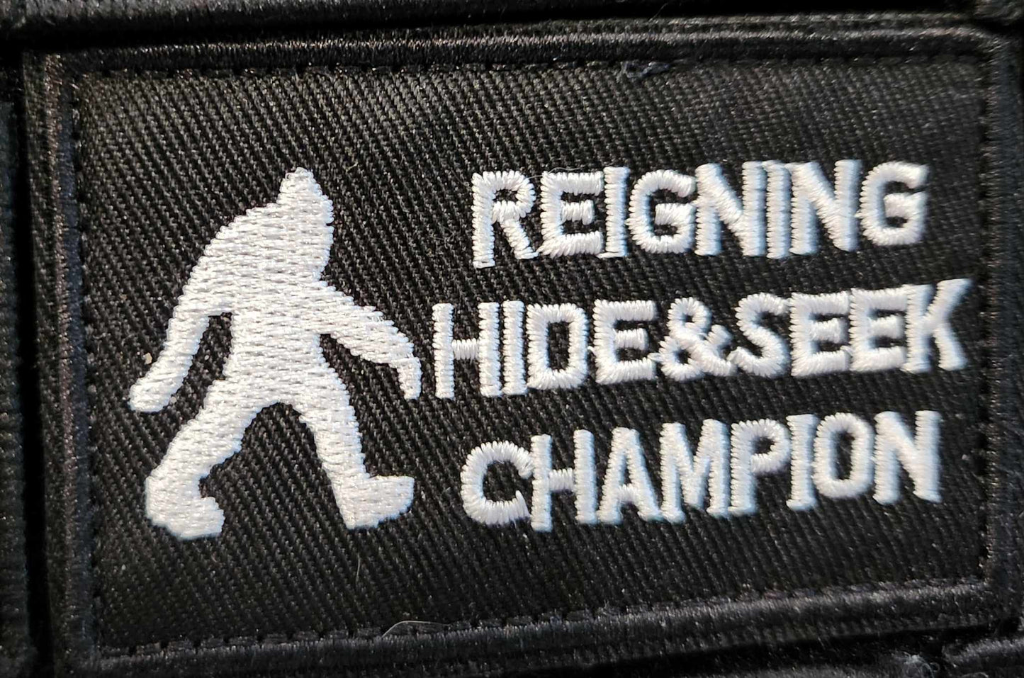 Reigning hide and seek