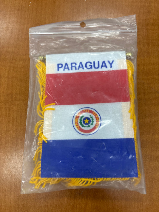 Paraguay Mini Banner