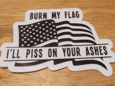 Burn my flag