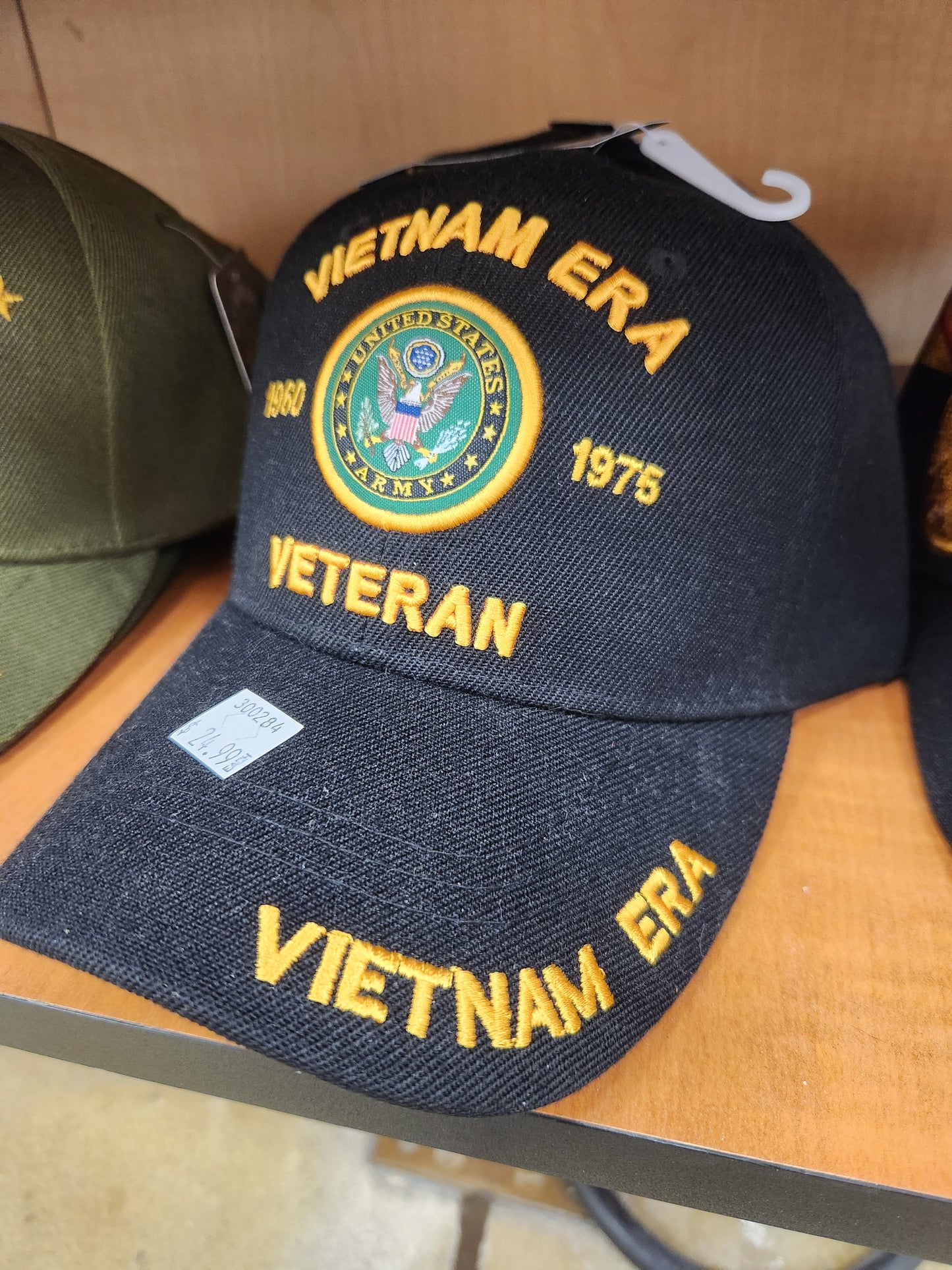 Vietnam era vet