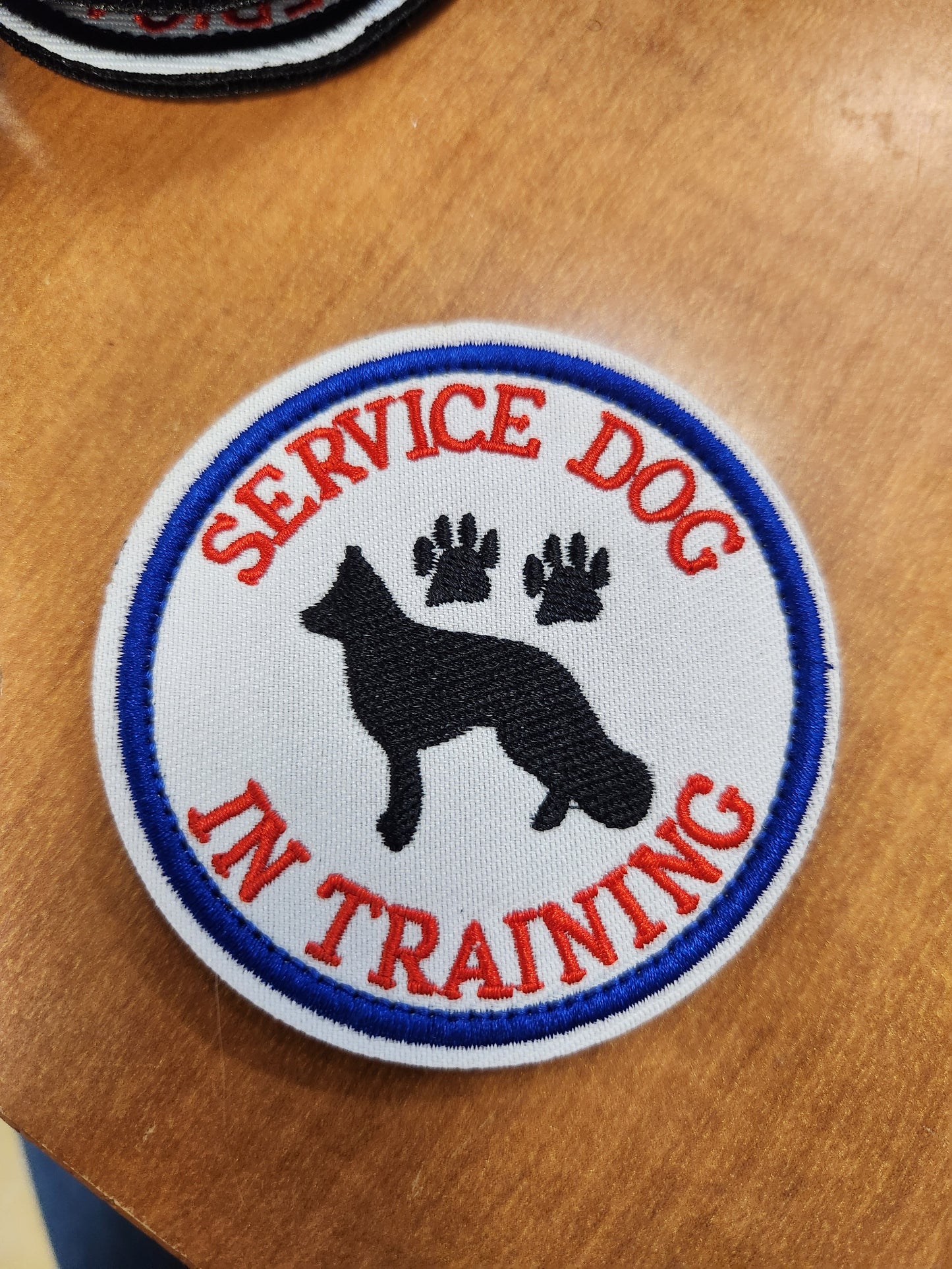 Service dog in training