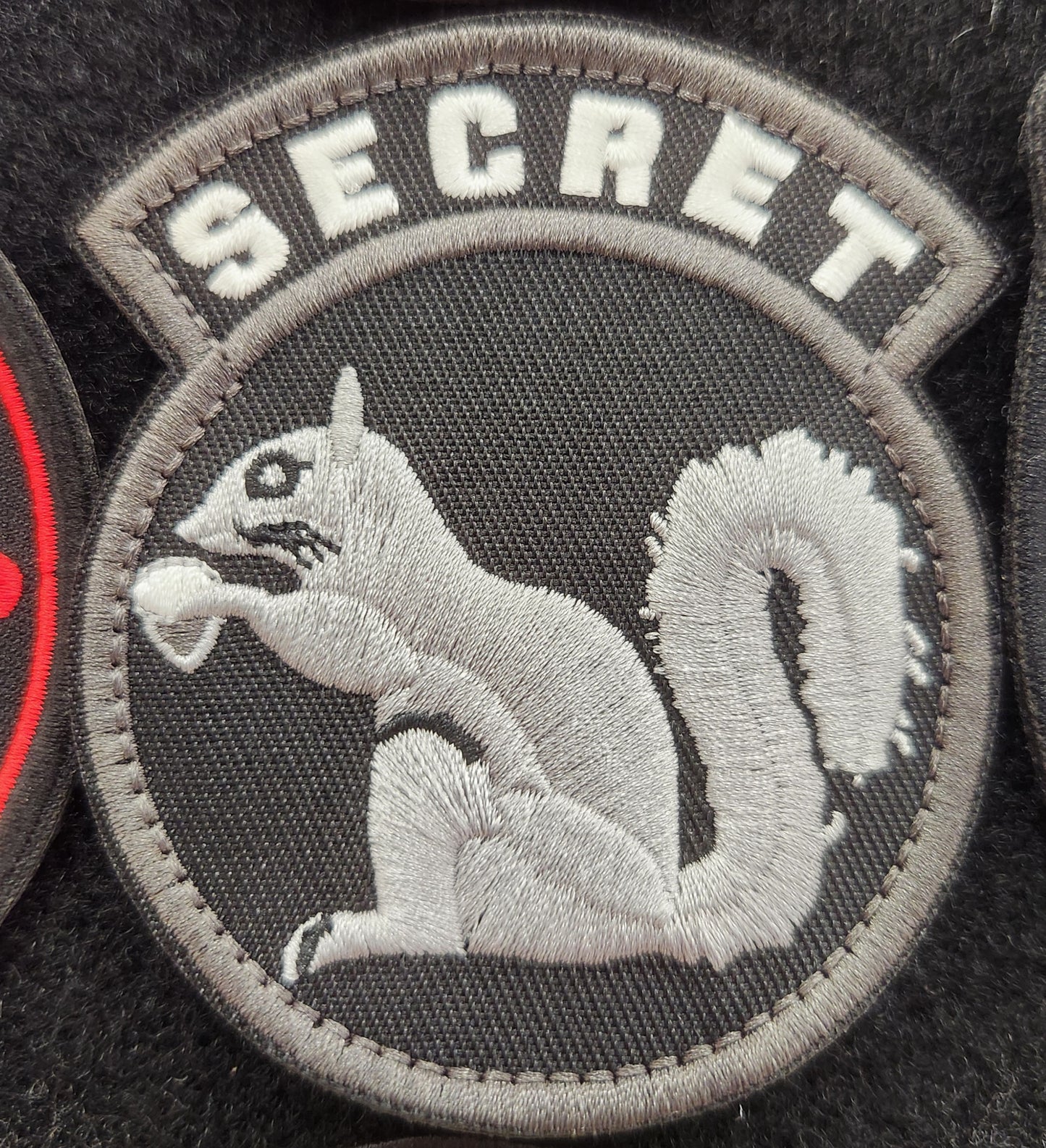 Secret squirrel