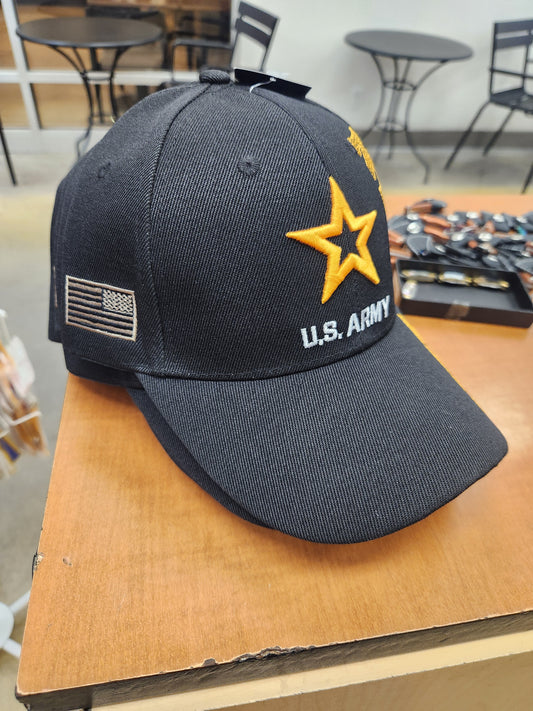 Army Veteran New Star (20)