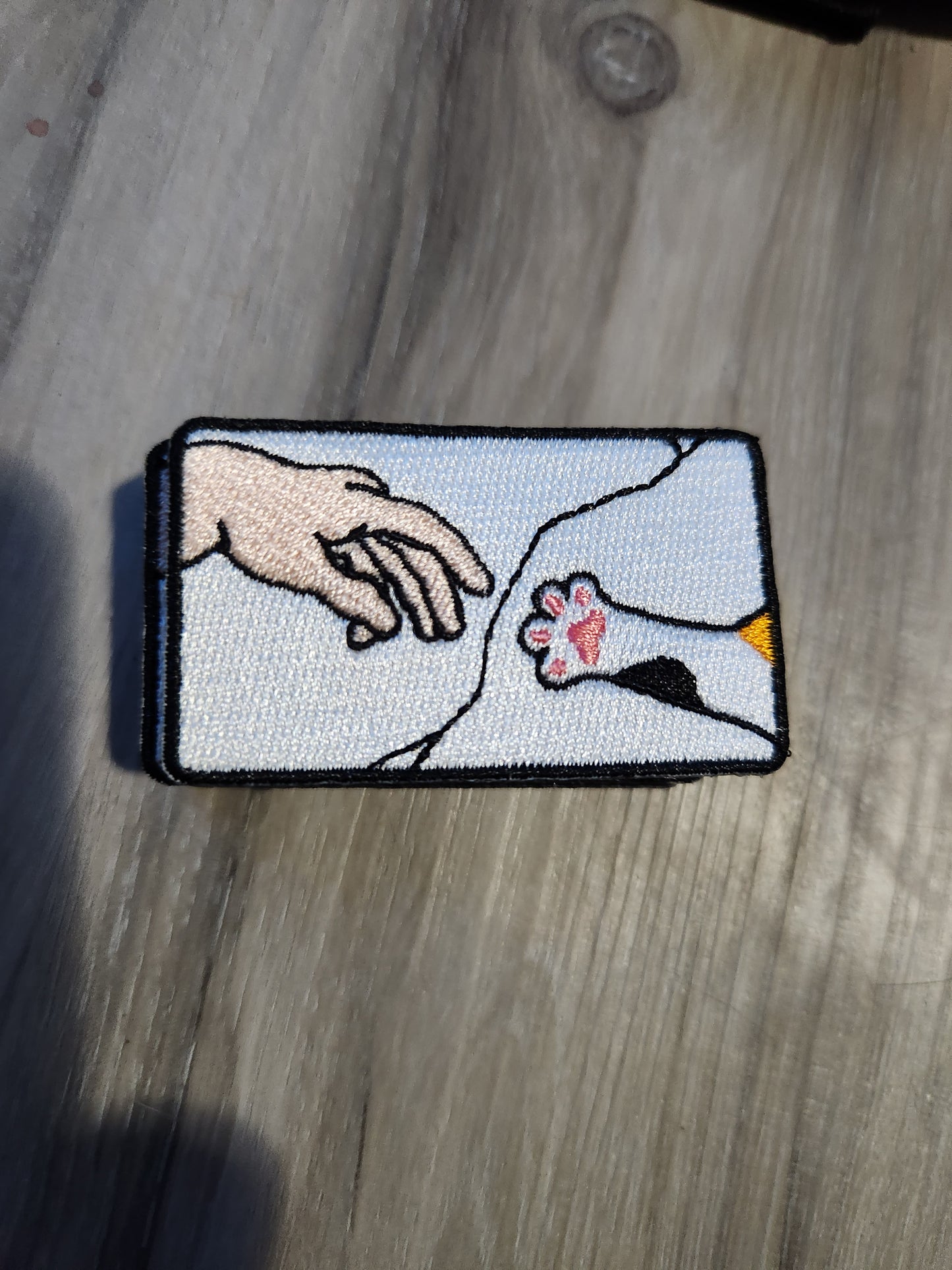 Hand/paw