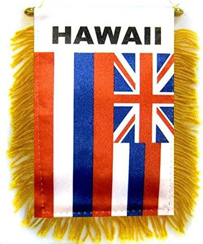 Hawaii Mini Banner