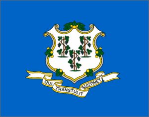 Connecticut 3x5 Flag