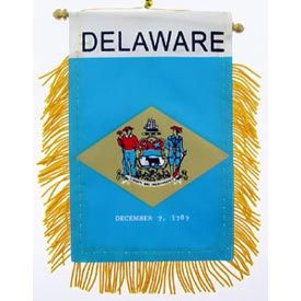 Delaware Mini Banner