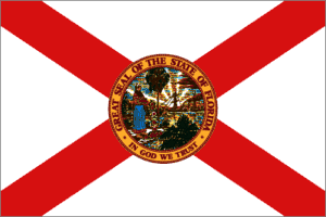 Florida 3x5 Flag