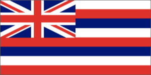 Hawaii 3x5 Flag