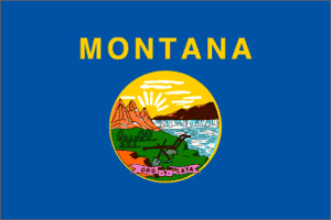 Montana 3x5 Flag