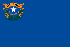 Nevada 3x5 Flag