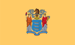 New Jersey 3x5 Flag
