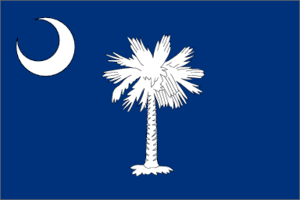 South Carolina 3x5 Flag