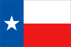 Texas 3x5 Flag