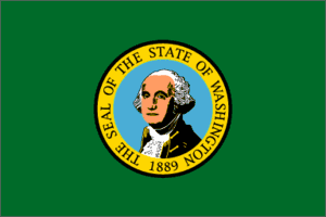 Washington 3x5 Flag